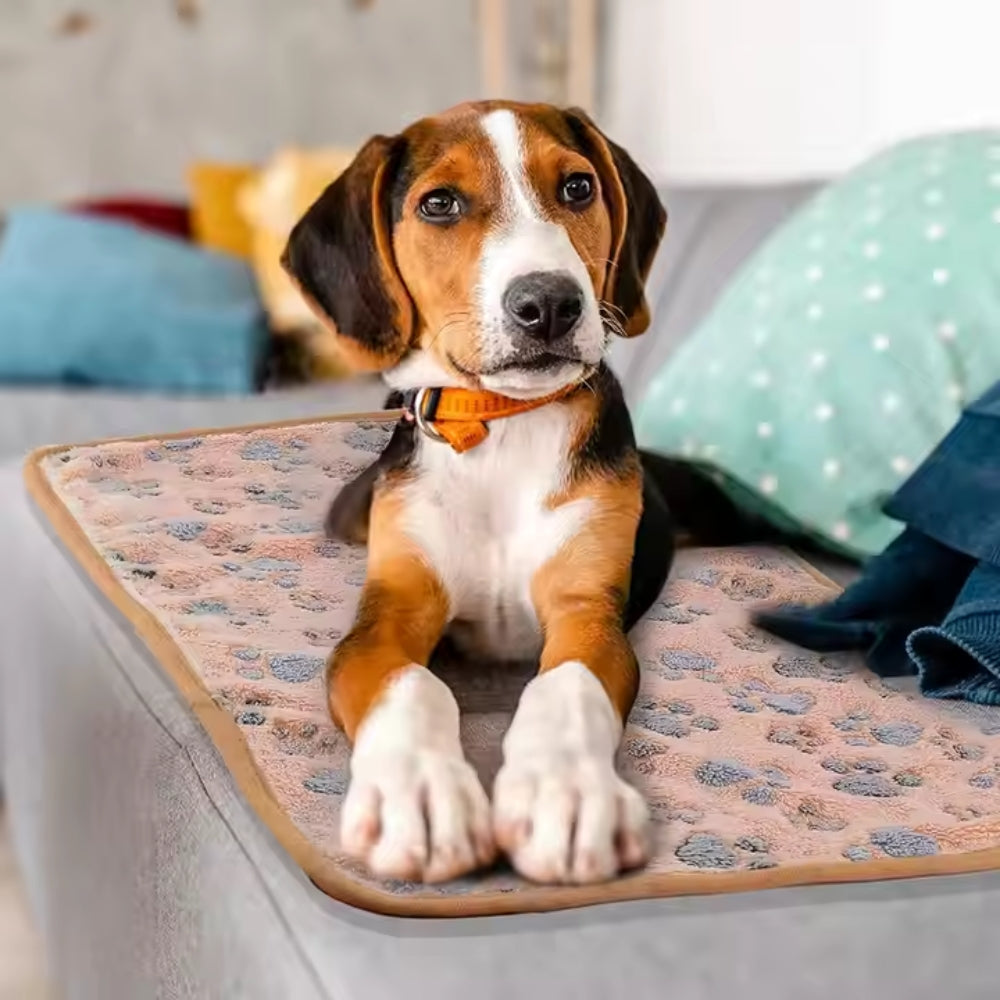 Soft Fleece Pet Blanket Sleep Mat Pad