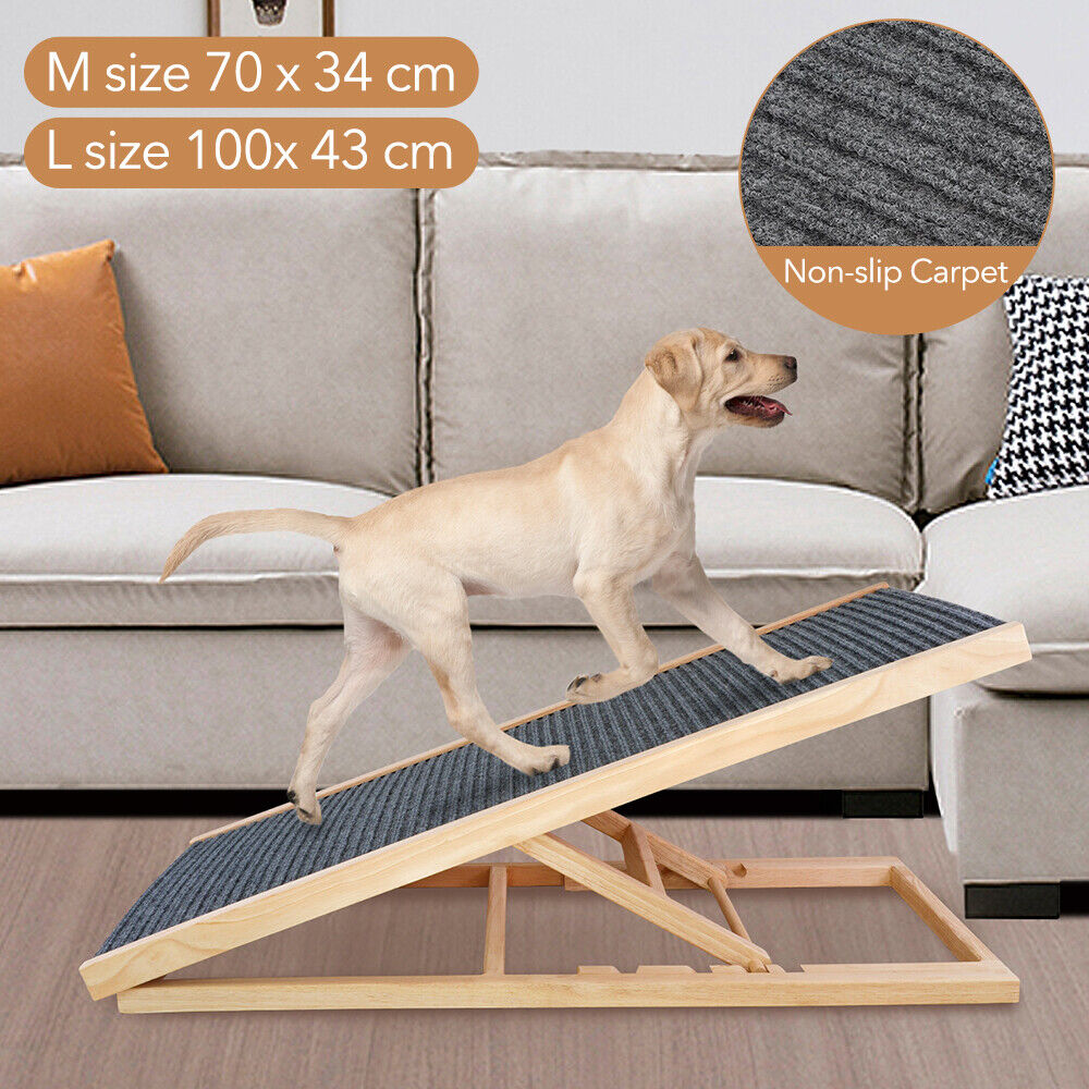 Mobile Dog Ramp