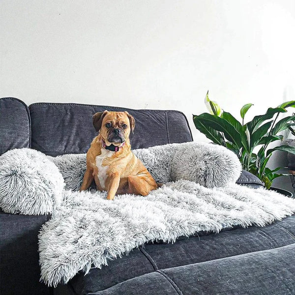 Furniture Protector Dog Bed
