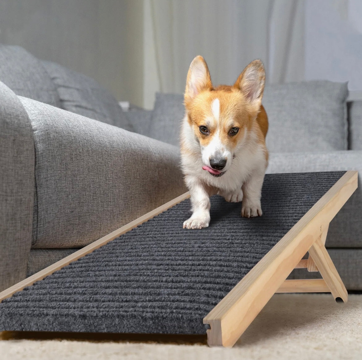 Mobile Dog Ramp