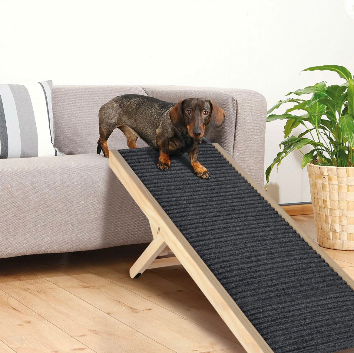Mobile Dog Ramp