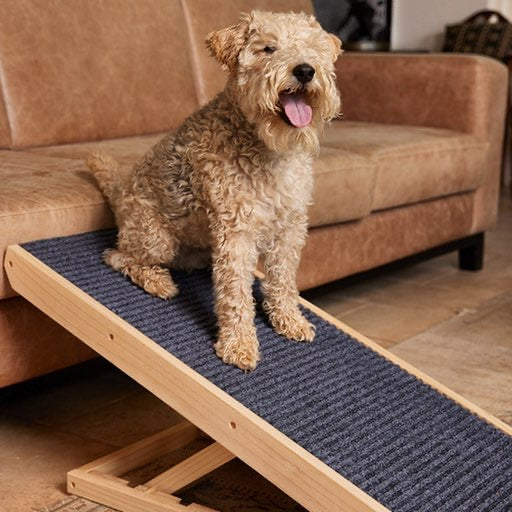 Mobile Dog Ramp