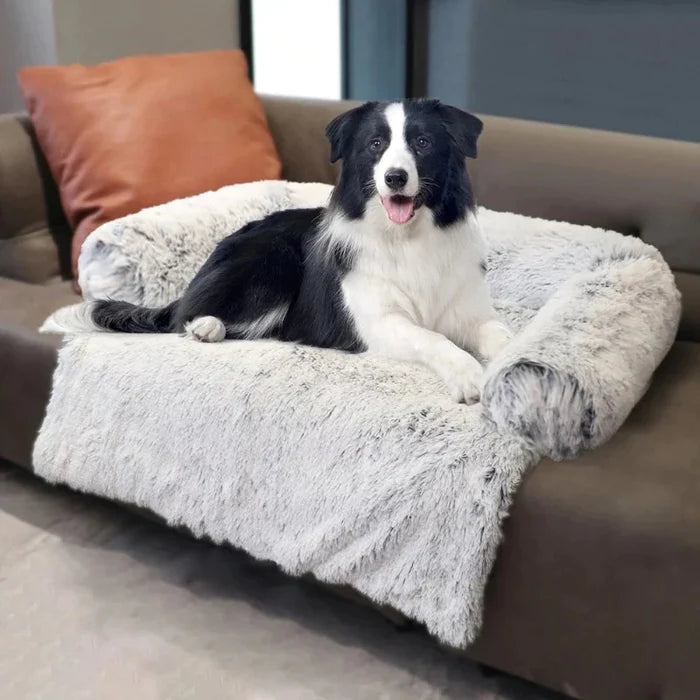 Furniture Protector Dog Bed