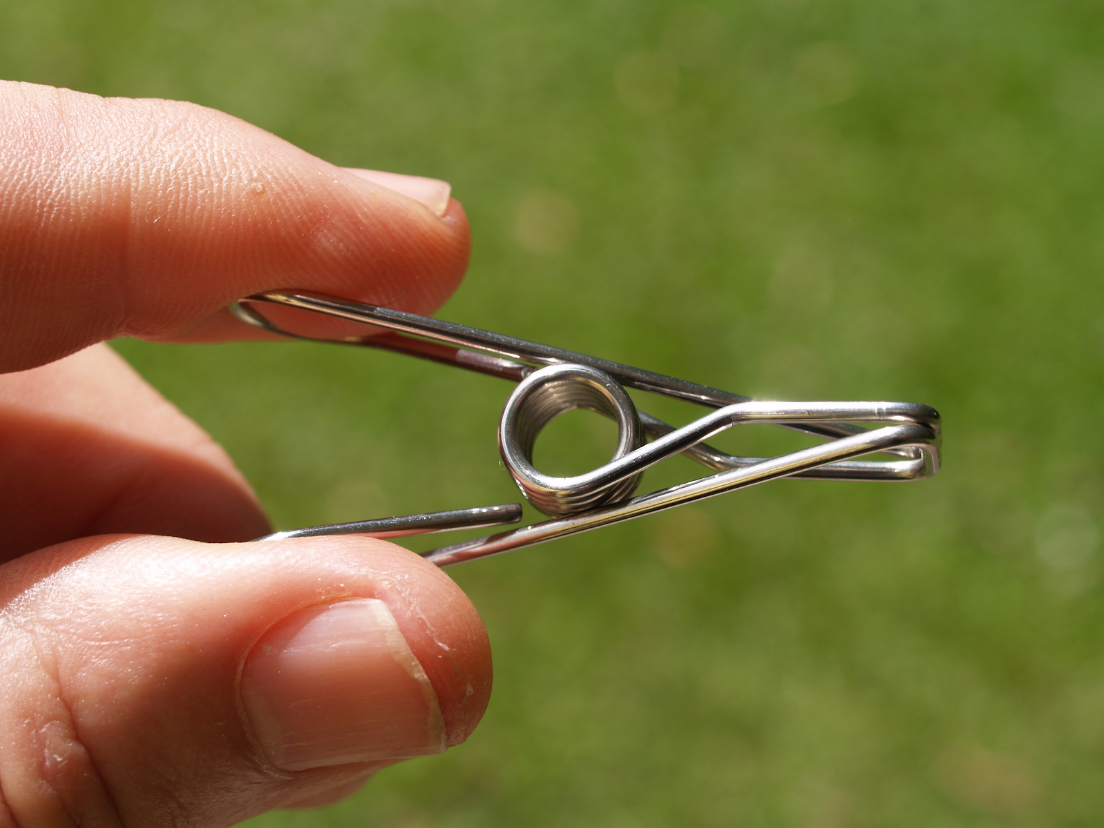 Stainless Steel Pegs