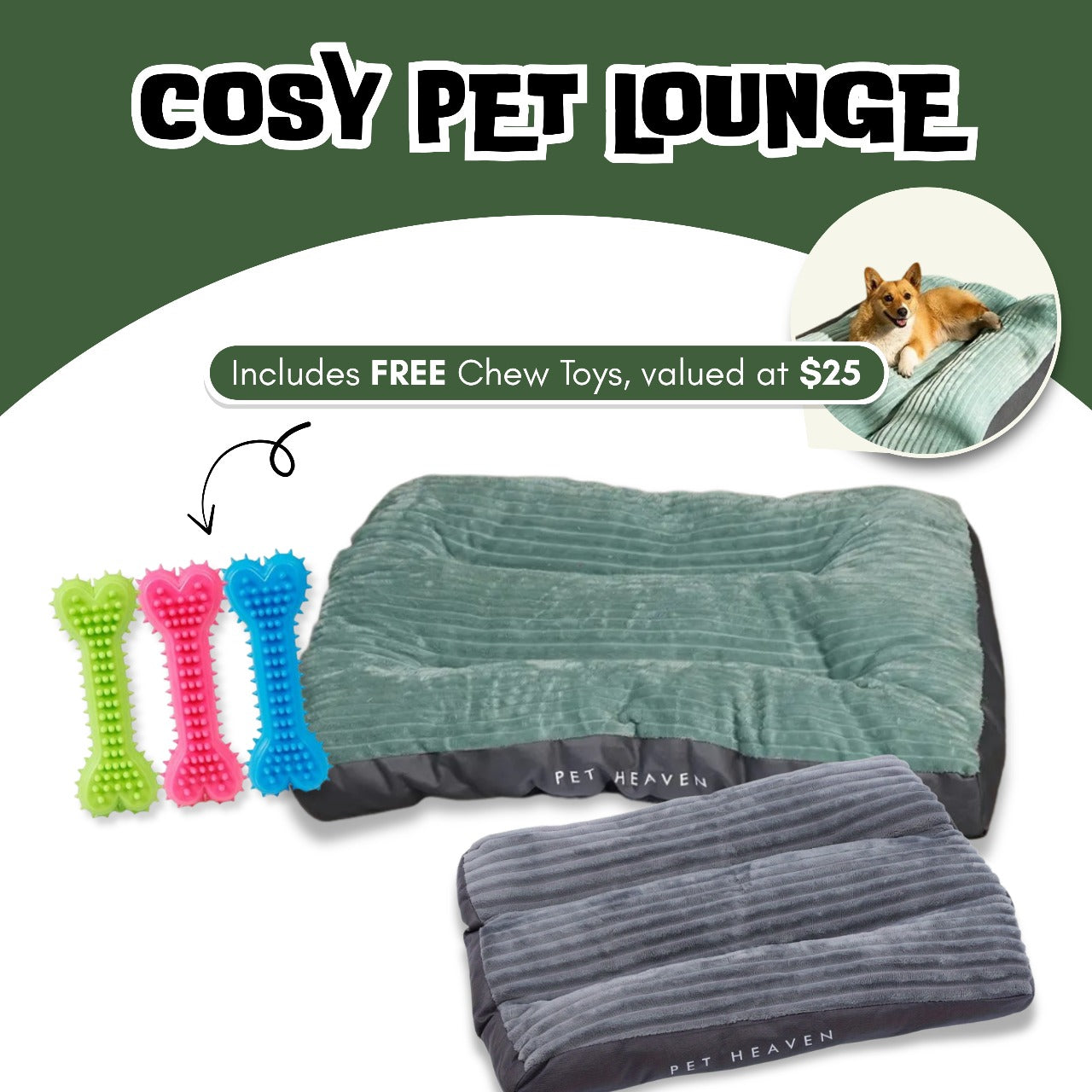 Cosy Pet Lounge for Winter (Includes FREE Chew Toys!)