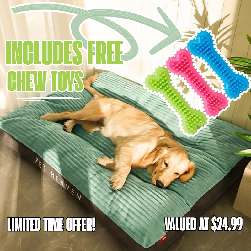 Cosy Pet Lounge for Winter (Includes FREE Chew Toys!)